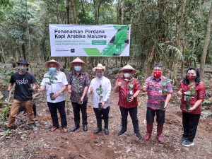 Perdana, Walikota dan Wawali Tanam Kopi Arabika Mahawu di Tomohon