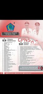 Formasi CPNS 2021 Diumumkan, Cek Disini Posisi Jabatan yang Dibutuhkan