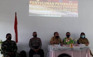 Sosialisasi Ternak Ayam Buras Bagian Dari Program Sasaran Non Fisik TMMD