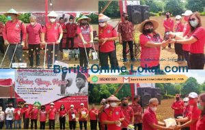 Penanaman Benih Jagung MSP di Minsel Dalam Rangka Bulan Bung Karno