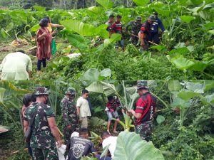 Satgas TMMD Kodim 1310/Bitung Ikut Bantu Panen Singkong Warga