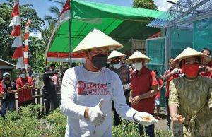 Bupati Minut Joune Ganda Panen Perdana Bersama Kelompok Wanita Tani Milenial di Baho