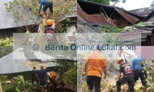 Dua Rumah Tertimpa Pohon Akibat Cuaca Ekstrem, Maurits-Hengky Ingatkan Warga Tetap Waspada