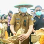 Walikota Tomohon Caroll Senduk “Mashepi Tandey” Hasil Perdana Milisi Waraney