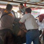 Gunakan Parang, Residivis Asal Tamako Bacok Dua Warga