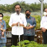 Presiden: Rehabilitasi Lahan Kritis Dimulai dari Pembangunan Persemaian