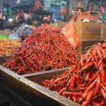 DKP Mitra Cek Harga Pangan. Harga Rica Makin Pedas