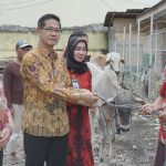 Jelang Idul Adha 1443 H, Pemkot Bitung Serahkan Hewan Kurban