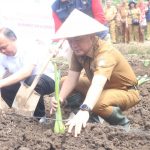 Walikota Carrol Senduk Canangkan Gerakan Ba tanam di Kobong