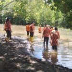 Peringati HUT Ke-51 BASARNAS Lakukan Baksos Penanaman Mangrove Bersama BAKAMLA
