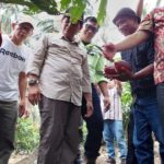 Ketua DPRD Sulut Fransiscus Silangen Dan Bupati Bolmong Kunjungi Kebun Kakao Desa Bakan