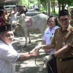 Bupati Joune Ganda Serahkan Hewan Qurban Kepada 9 Mesjid di Minut