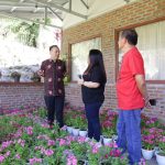 Kota Tomohon Dihiasi Bunga, Walikota Senduk Mohon di Rawat