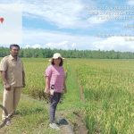 Dongkrak Perekonomian Masyarakat, Pemdes Makalu Selatan Bangun Jalan Usaha Tani