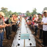 Wali Kota Asripan Nani Mencanangkan Gerakan Penanaman 10.000 Pohon Cabai