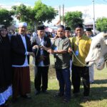 Pj Wali Kota Asripan Nani Tinjau Pelaksanaan Penyembelihan Hewan Qurban