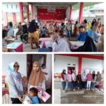 Jamin Pertumbuhan Kesehatan Balita Lewat Posyandu Desa Tababo Selatan 