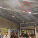 Hinggapnya di Kediaman Wenny Lumentut Merpati Putih Membawa Sebuah Pertanda  