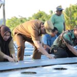 Abdullah Mokoginta Lakukan Penanaman Cabai Rawit Teknologi Digital Farming Bantuan Bank Indonesia