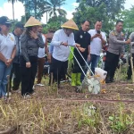 Dukung Program Asta Cita Ketahanan Pangan, Wawali Randito Bersama Kelompok Gema Tani Tanam Jagung Serentak