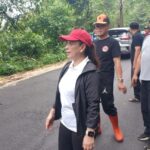 Wabup Vasung Pantau Langsung Penebangan Pohon di Jalan Raya Tondano-Remboken