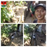 Wujud Kepedulian Terhadap Warga Terdampak Banjir Di Desa Buku Selatan 