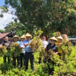 Dukung Program Asta Cita Presiden, Lapas Bitung Panen Kacang Tanah