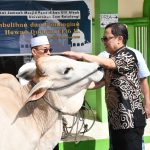 Rektor Unsrat Serahkan Hewan Qurban di Mesjid Pendidikan Ulil Albab
