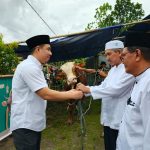 Perayaan Idul Adha 1446 H, Thungari Serahkan Hewan Kurban Bantuan Presiden dan Pemkab Sangihe