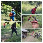 Mapalus, Budaya Gotong Royong Yang Terus Di Lestarikan Oleh Pemerintah Kelurahan Wawali 