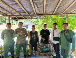 Polhut Sangihe Evakuasi Dua Ekor Kuskus Kerdil Sulawesi dirumah warga
