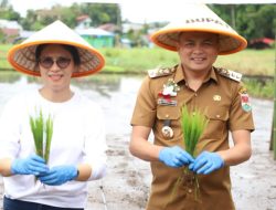 Kabupaten Minahasa Tenggara Dorong Kemandirian Pangan: Gerakan Tanam Lokal untuk Ketahanan Pangan 