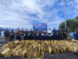Lanal Tahuna Gagalkan Dua Kali Penyelundupan Ratusan Ayam Filipina di Perairan Sangihe