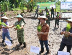 Bupati Thungari Tanam Padi dan Hortikultura, Dorong Kemandirian Pangan Daerah