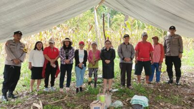 Polsek Sonder Berkolaborasi dengan Pemerintah Desa Kauneran Gelar Panen Jagung Perdana