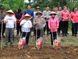 Menuju Program Swasembada Pangan Tahun 2025, Polres Tomohon Melaksanakan Kegiatan Penanaman Jagung Serentak 