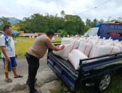 Kelompok Tani Binaan Polres Tomohon, Kembali Berhasil Panen dan Menjual Jagung Ke Bulog Bitung