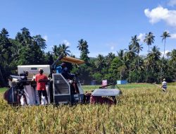 Program Ketahanan Pangan Dana Desa 2025 di Desa Ponosakan Indah Terealisasi