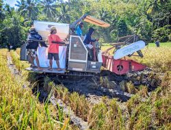 Desa Ponosakan Indah Sukses Manfaatkan Program Ketahanan Pangan 