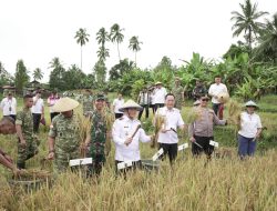 Dampingi Wagub Sulut, Wali Kota Caroll Senduk Hadiri Panen Raya dan Pengumuman Swasembada Pangan Nasional