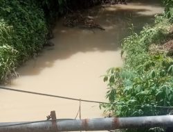 Tambang Emas Toka Tindung Disorot! Sungai Diduga Tercemar, Lembaga Anti Korupsi Desak Izin PT MSM/TTN Dicabut