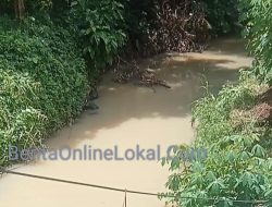 LIKUPANG MENJERIT! Air Sungai Diduga Tercemar, LSM Desak Audit Tambang PT Archi Indonesia Tbk