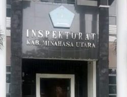 Resume Tugas Dan Fungsi Inspektorat (APIP) Dan Reviu Singkat Perjalanan Pengawasannya