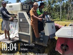 Program Ketahanan Pangan Dana Desa Tahun Anggaran 2025 di Desa Molompar Utara Terealisasi