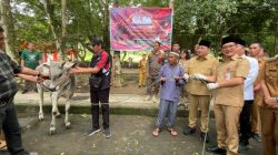 Sebanyak 9 ekor sapi qurban diserahkan Pemkab Minahasa Utara untuk pelaksanaan Hari Raya Idul Adha 1447 H tahun 2026