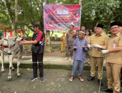 Sebanyak 9 ekor sapi qurban diserahkan Pemkab Minahasa Utara untuk pelaksanaan Hari Raya Idul Adha 1447 H tahun 2026