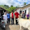 Semangat Berbagi Di Hari Raya Idul Adha, DPC PDIP Bolmong Sumbang Sapi Kurban Untuk Warga