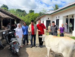 Semangat Berbagi Di Hari Raya Idul Adha, DPC PDIP Bolmong Sumbang Sapi Kurban Untuk Warga