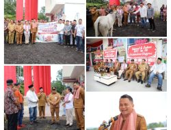 Bupati Ronald Kandoli Serahkan Hewan Kurban
