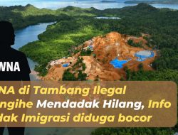WNA di Tambang Ilegal Sangihe Mendadak Hilang, Info Sidak Imigrasi diduga bocor